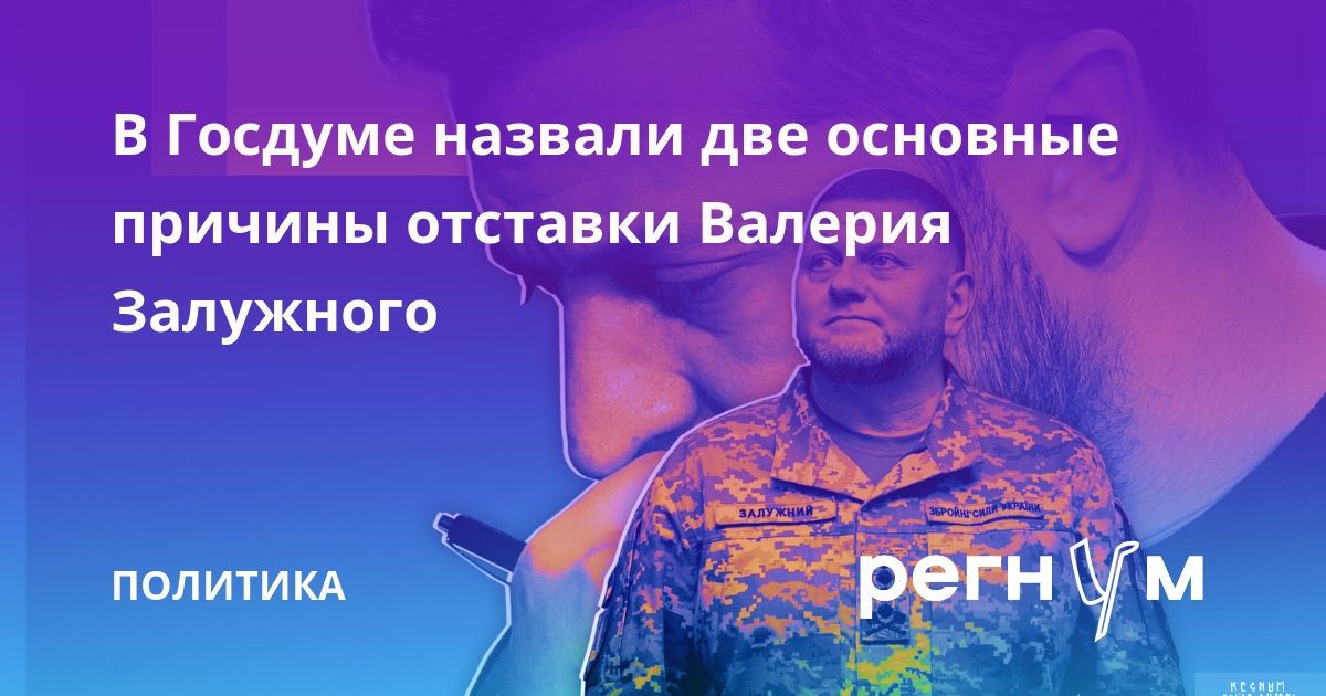 В Госдуме назвали две основные причины отставки Валерия Залужного