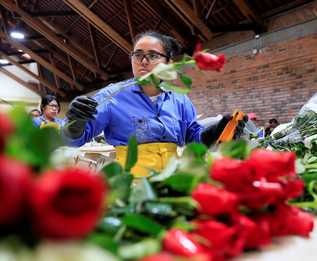 Rosas a todo el mundo en el Día de San Valentín