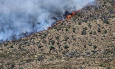 Controlado en un 95% el incendio forestal en el Parque Nacional Natural Los Nevados