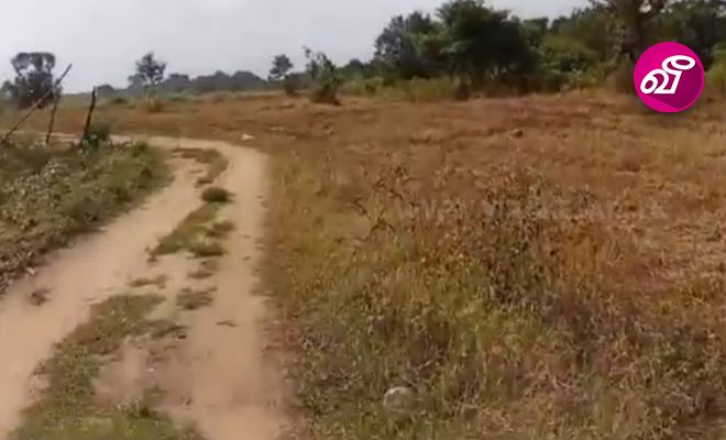 மயிலத்தமடு, மாதவனை பகுதியில் மேச்சல்தரைக்கு 'பரக்குவாட்' நாசினி விசிறி தீ வைக்கும் நடவடிக்கை | Virakesari.lk