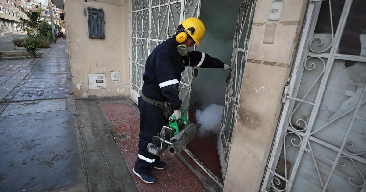 Perú declarará en emergencia cuatro regiones por aumento de casos de dengue