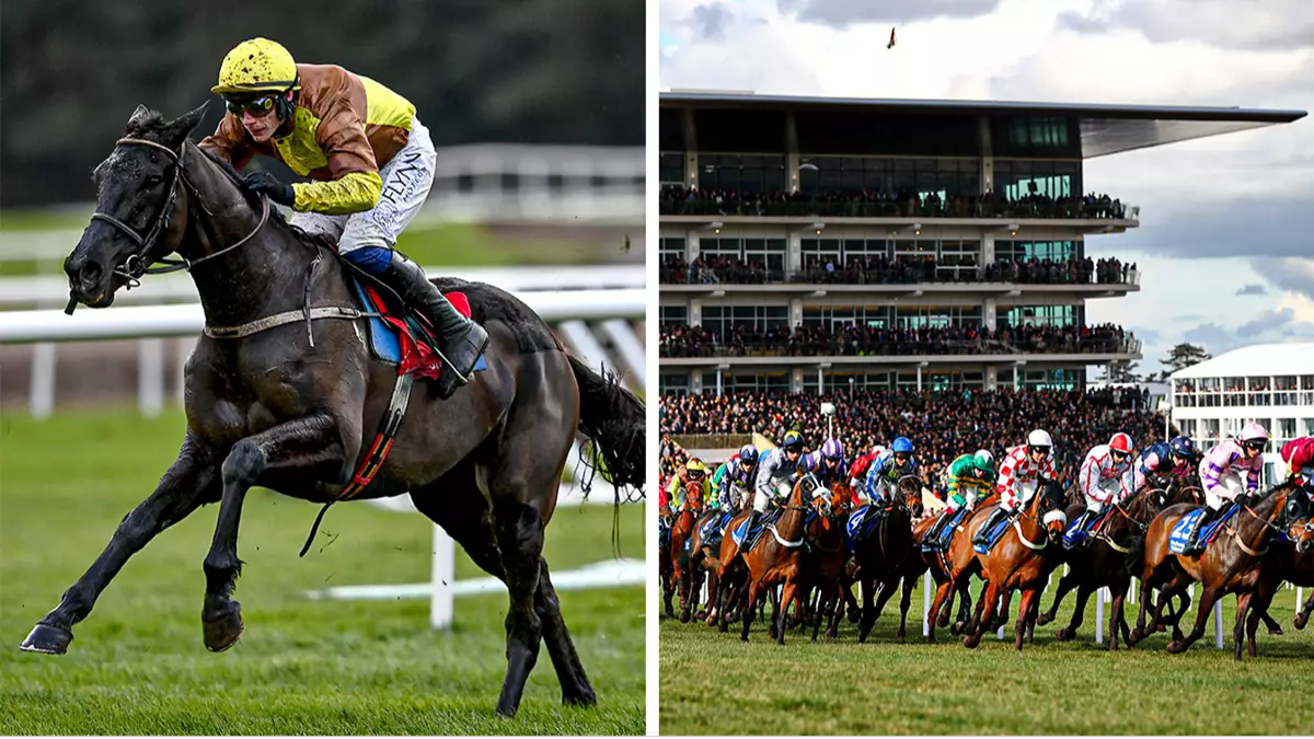 Get ready to roar for the Cheltenham Festival: Here's everything you need to know