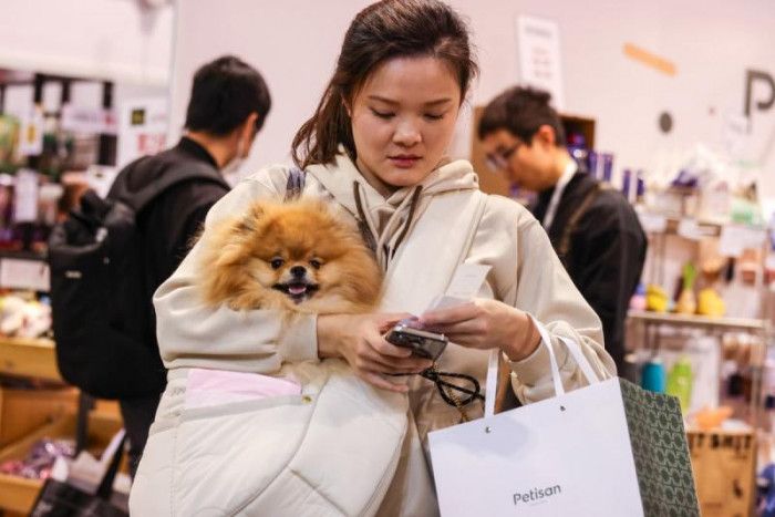 Hong Kongers among top spenders on pet care in Asia-Pacific