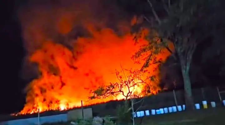 Sofocan incendio que puso en riesgo albergue de perros en Escobar - Nacionales - ABC Color