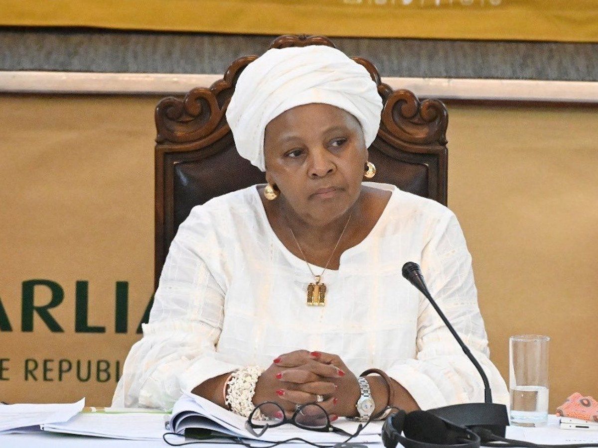 'Allow due process to unfold': ANC chief whip on corruption allegations against Mapisa-Nqakula