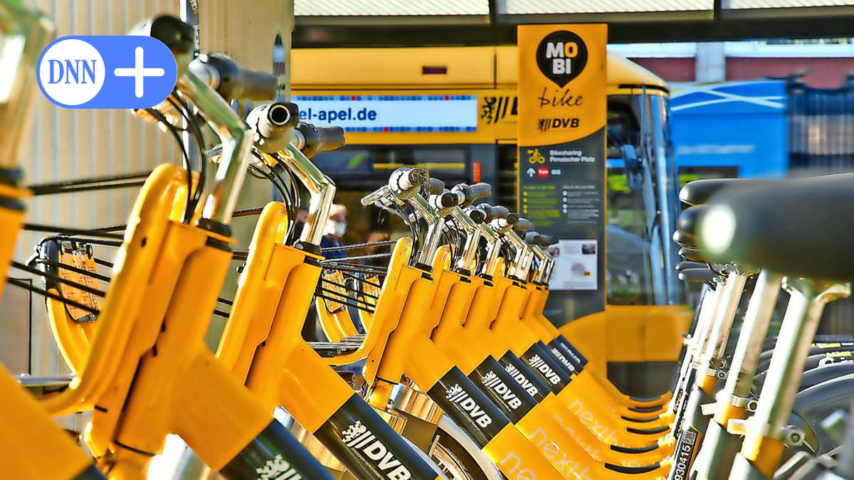 Dresden bekennt sich zu den Verkehrsbetrieben: Mit viel Geld