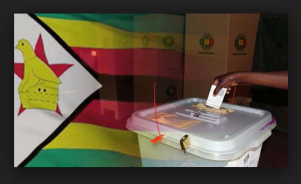 ZESN condemns proposed Constitutional amendment to Electoral Act | Zw News Zimbabwe