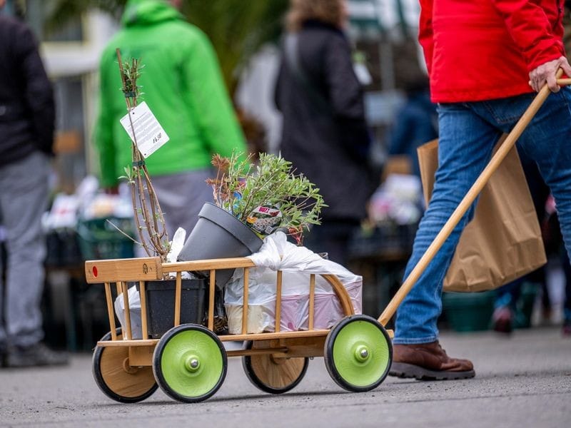 Start in die Gartensaison: Spezialmarkt im Erfurter Egapark hat die Tipps und Pflanzen dazu