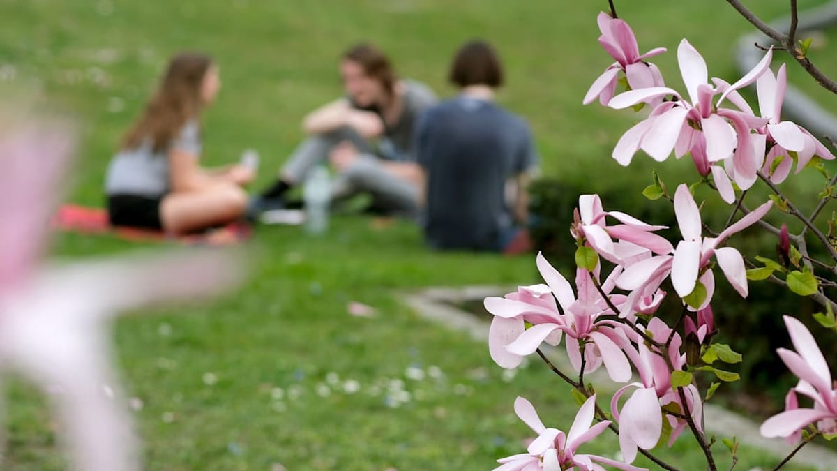 Wetter am Wochenende in Sachsen: Perfektes Grill-Wetter schon Anfang April