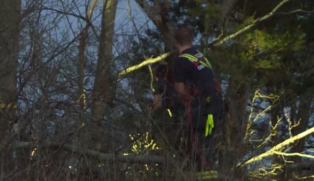 Woman injured after falling down Lincoln embankment