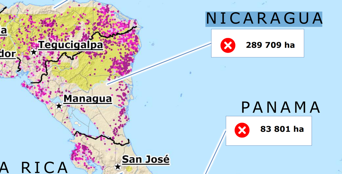 Incendios forestales afectan a toda Centroamérica, advierte DG ECHO