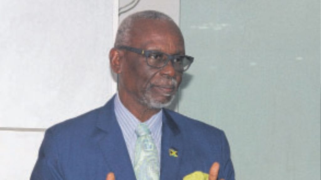 McKenzie urges councillors to help change negative view of local government - Jamaica Observer