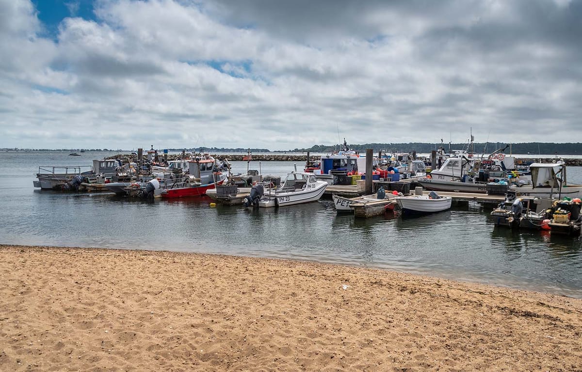 UK fishers in line for compensation following government decision to restrict pollock catch