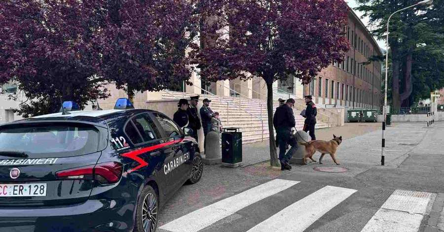 Bolzano, il brigadiere "Chip" fiuta la droga nascosta in una classe e nei bagni del Galilei