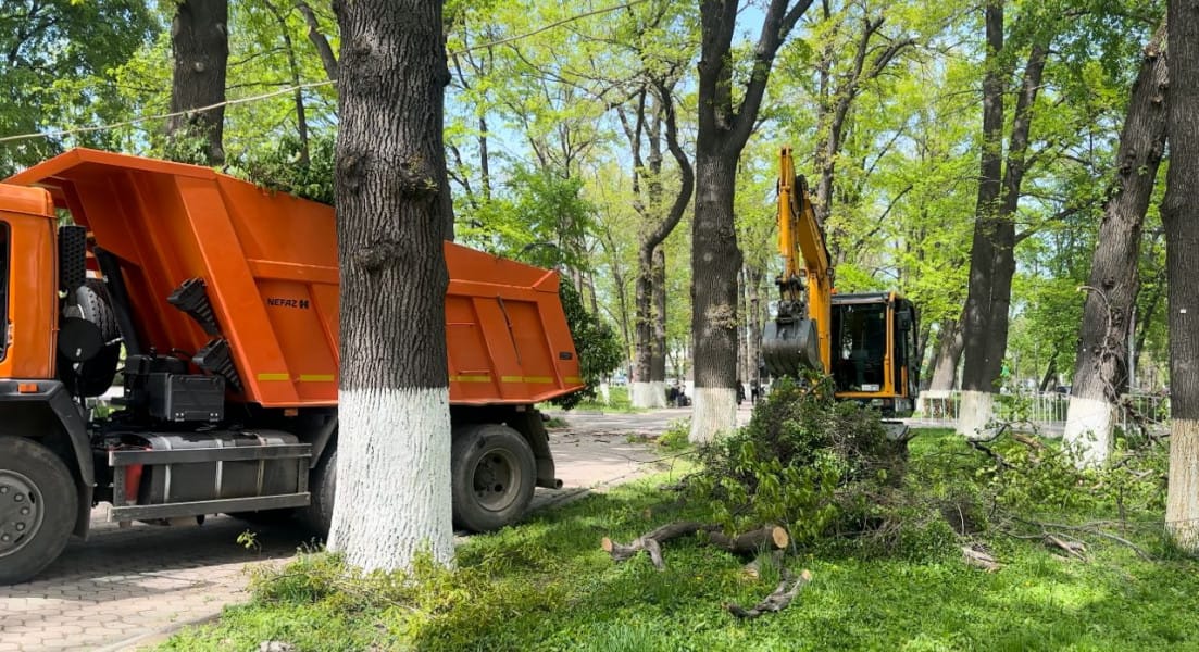 На бульваре Эркиндик проходит реконструкция зеленых зон - Новости Кыргызстана