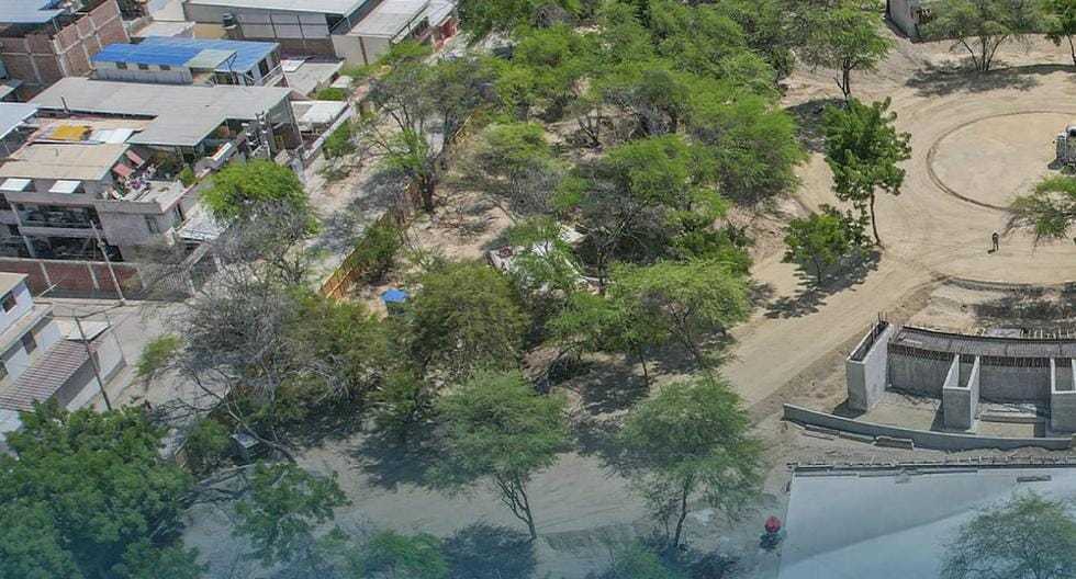 Municipalidad de Piura niega tala de árboles durante construcción del Parque de las Aguas