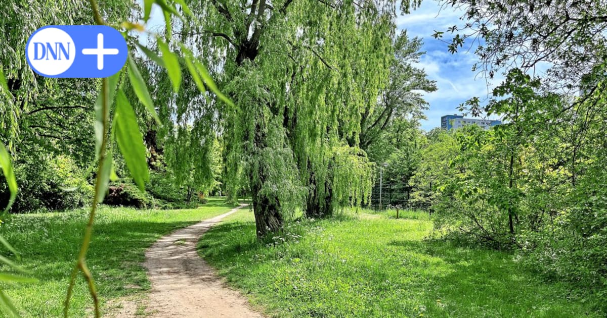 Dresden plant neuen Weg durch den Volkspark Räcknitz