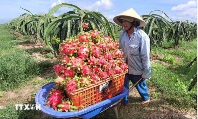 Israel shares experience in water-saving irrigation