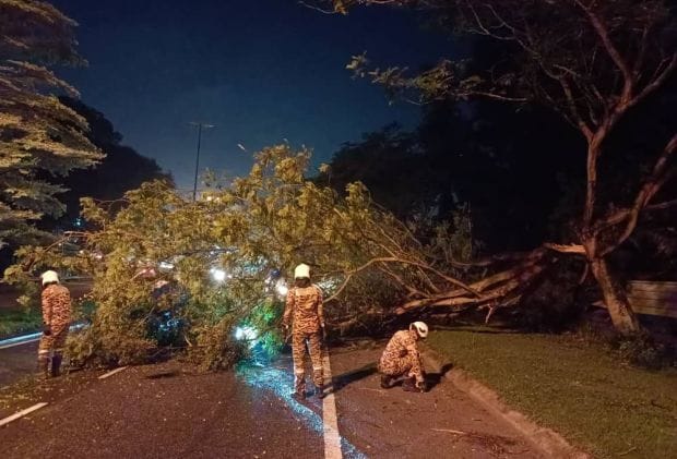 Motorcyclist injured by falling branch, traffic disrupted on Seremban-Tampin road