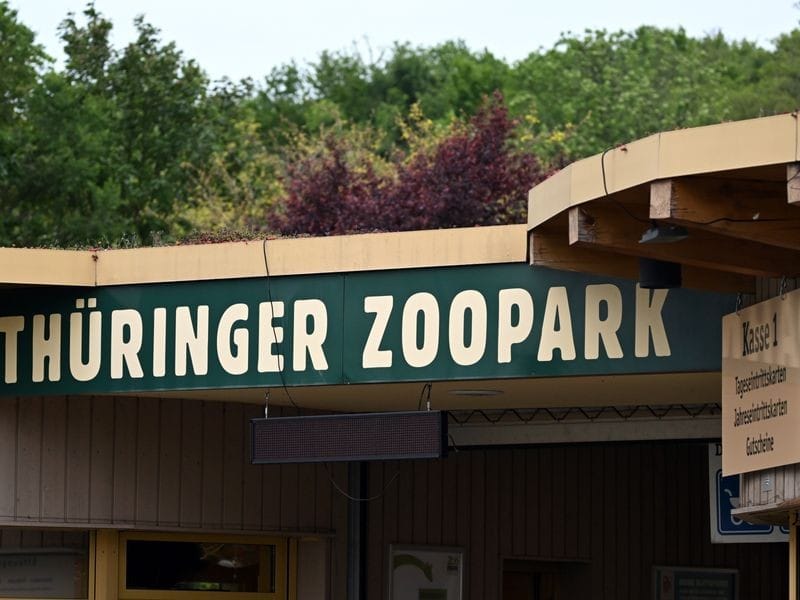 Thüringer Zoos machen steigende Kosten zu schaffen