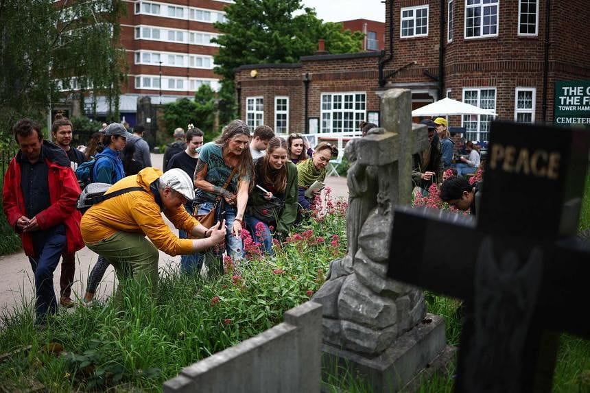 Hunting for edible plants with London's urban foragers