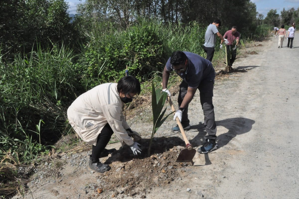 World Environment Day: 210 trees planted along Telipok River