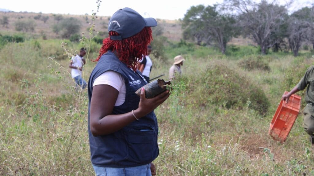 Taita Taveta on course to reforest 360,000 hectares: official