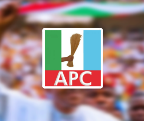 Niger APC suspends woman leader - Daily Trust