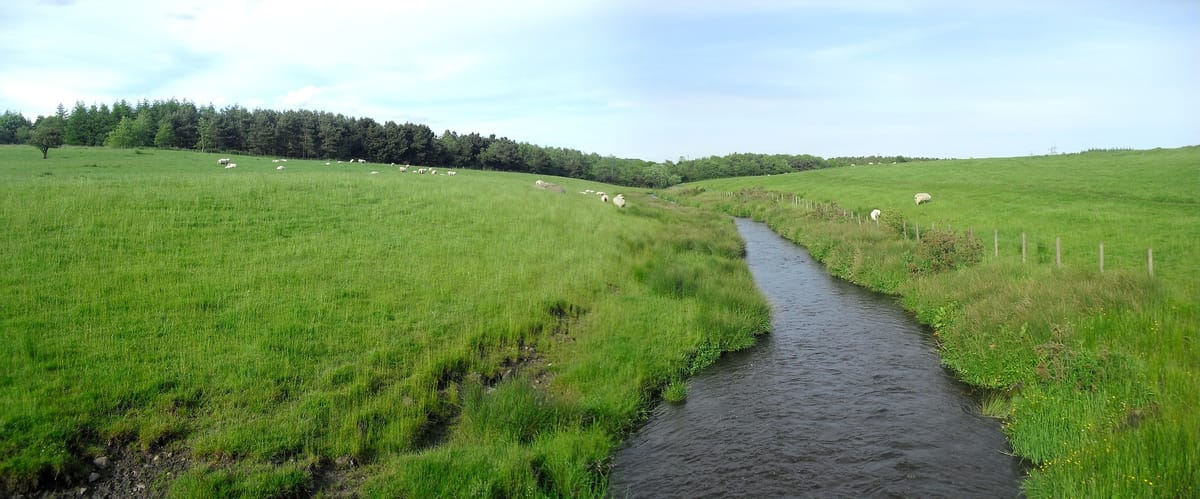 ICOS: Farmers are '100% committed' to water quality - Agriland.ie