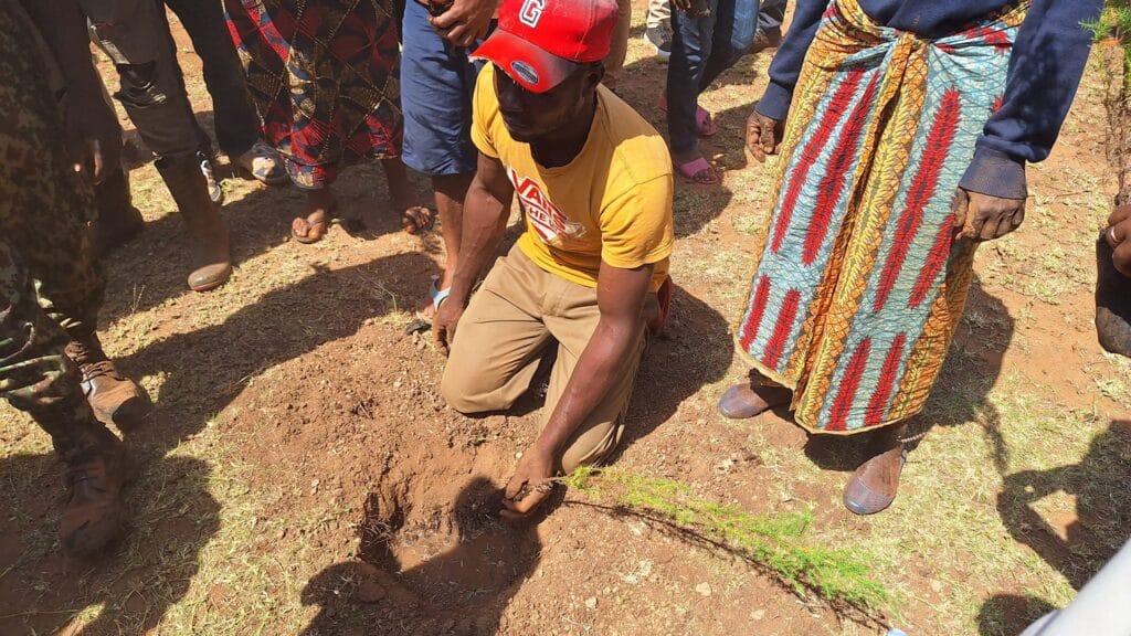 Taita Taveta plants 10,000 seedlings on riparian land near Lake Jipe