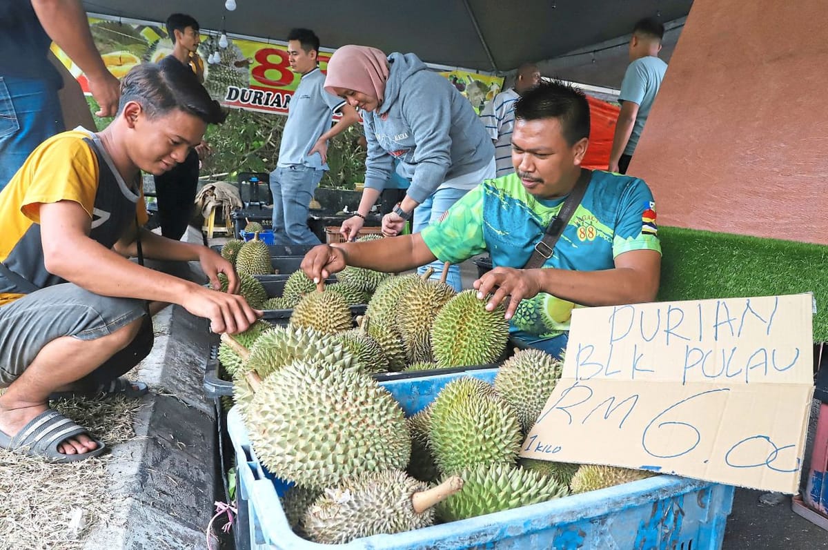 Massive sales of cheap durian bring smiles all around