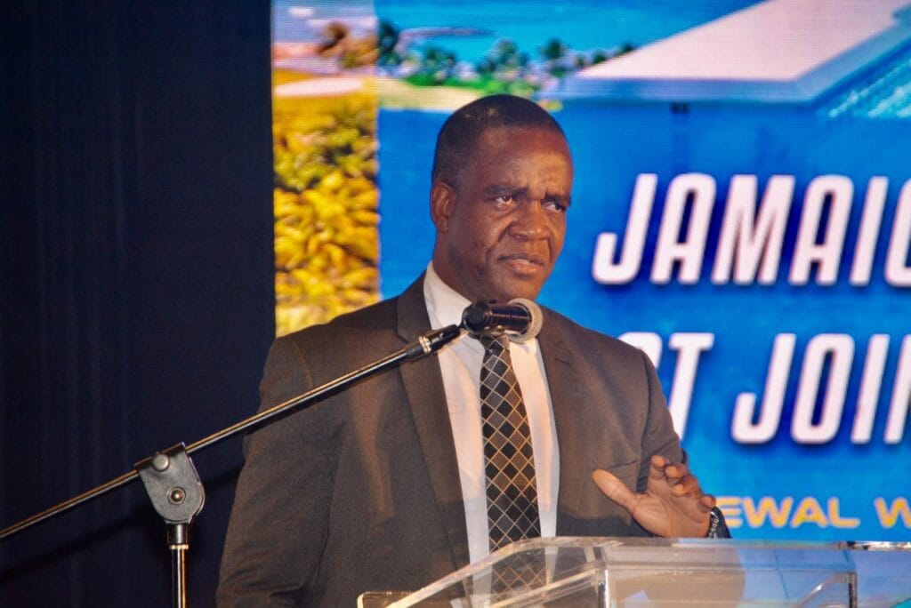 8 ways to help - Jamaica Observer