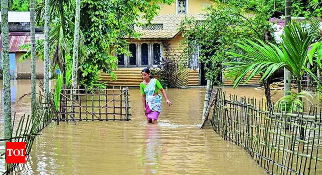 Flood situation remains grim despite let-up in rain | Guwahati News - Times of India