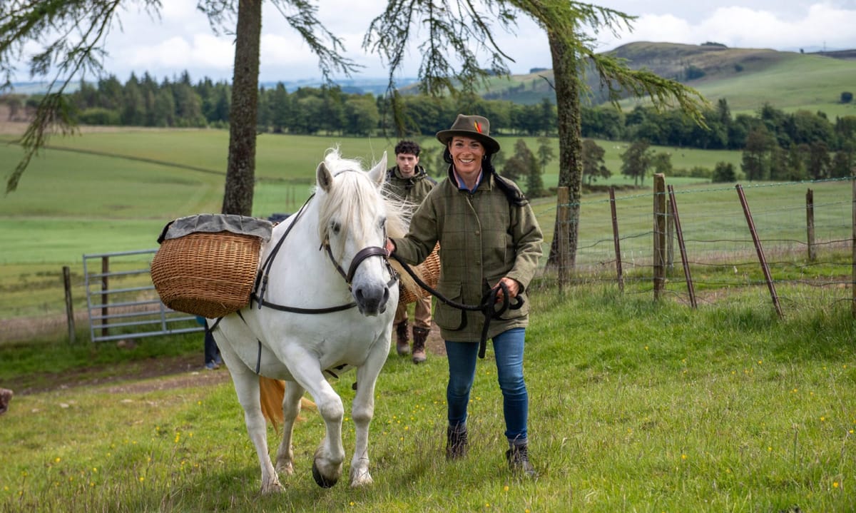 I joined a Highland pony walk and picnic in the Angus hills - how did I get on?