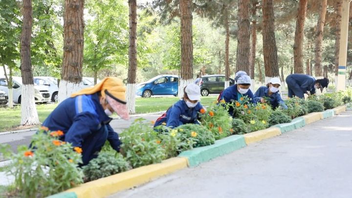 Благоустройство территорий и управление аэропортами передадут частному сектору