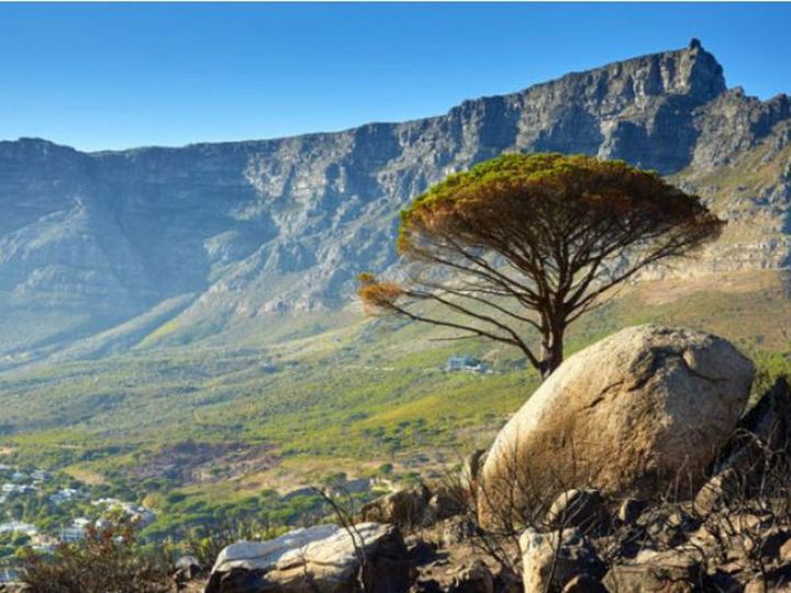 Petition calling for more policing in Table Mountain National Park handed to Parliament