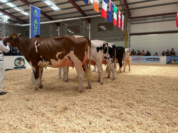 Entries open for IHFA Pure Protein and Premier sales - Agriland.ie