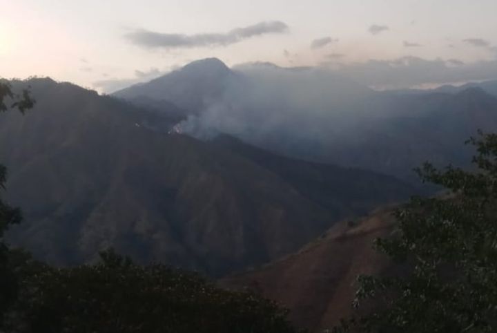 Bomberos divisan y combaten incendios forestales