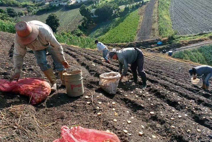 Agricultor que viajaba con frecuencia desde Trujillo fue secuestrado y asesinado en Caracas - Diario de Los Andes