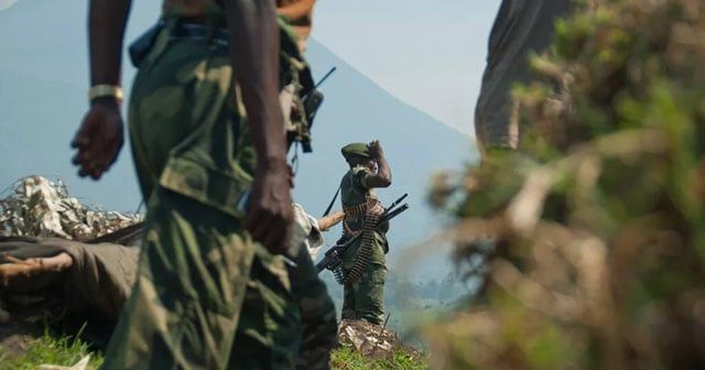 Two S.African troops die in DR Congo in shooting, suicide | News