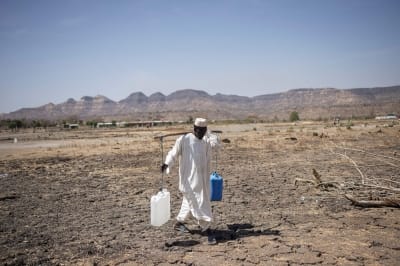 World Food Programme: Sudan soon to be 'world's largest hunger crisis'