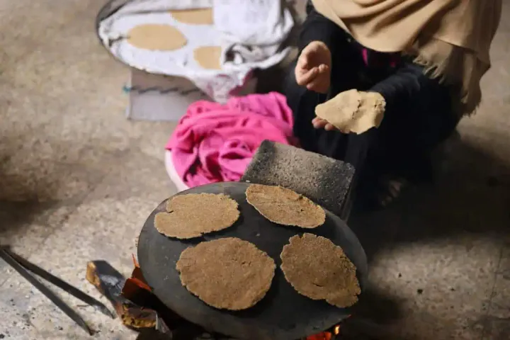 جريدة القدس || مسؤول أممي: إسرائيل تشن حرب تجويع على غزة ويجب معاقبتها