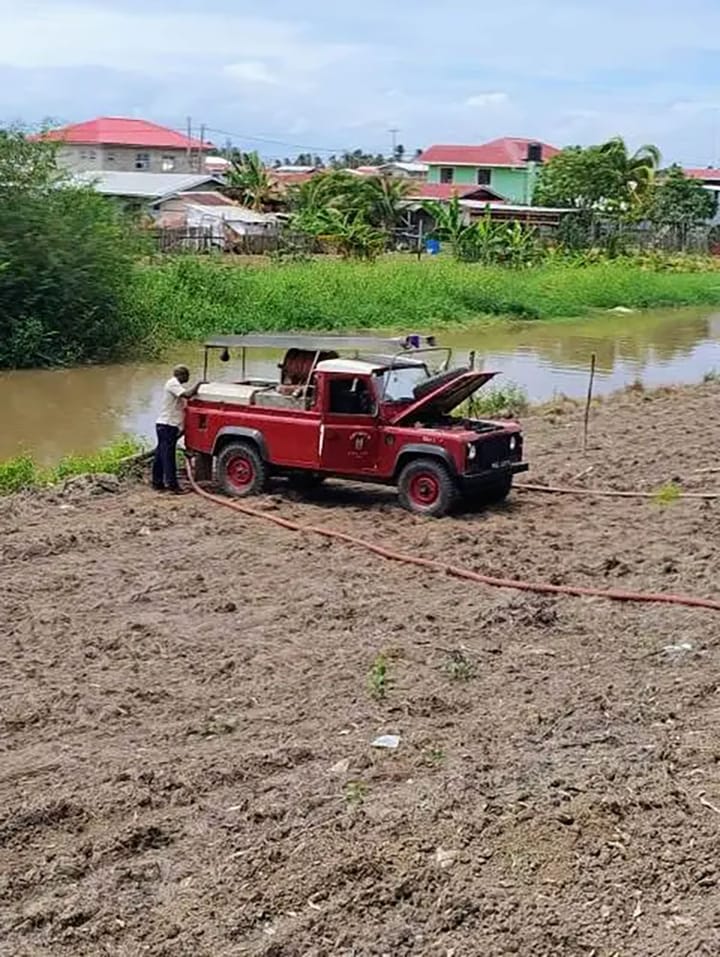 Week-long Woodley Park, mangrove fires extinguished - Stabroek News