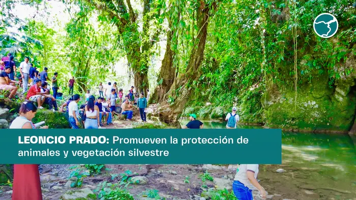 Huánuco: Promueven protección de animales y vegetación