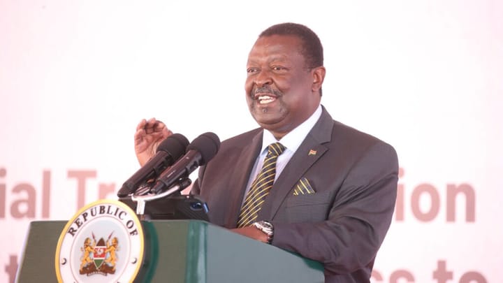 Mudavadi urges Europe, Africa to work together for better investments