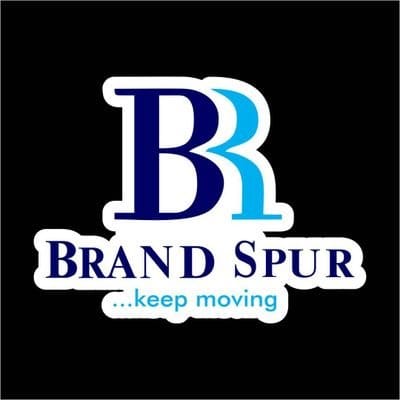 Asia Pacific Enterprise Achievement Award 2024 - Brand Spur