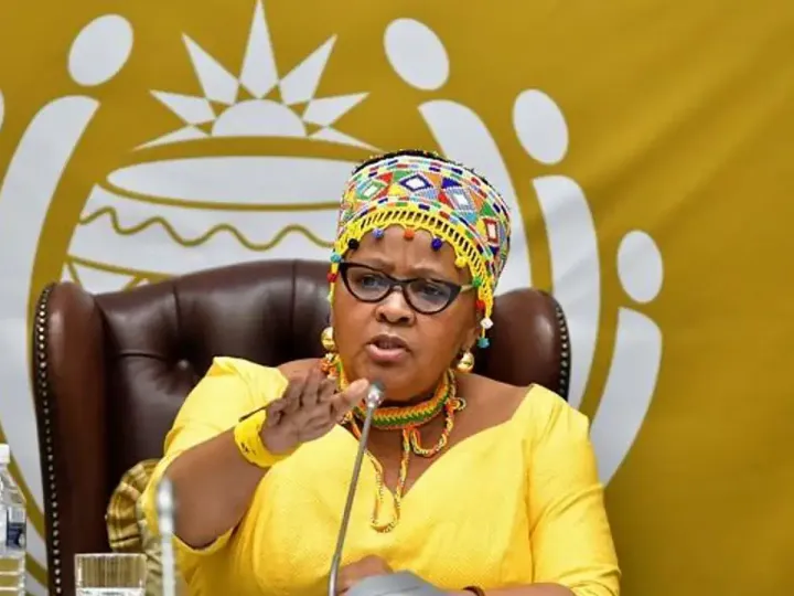 Mapisa-Nqakula police docket access bid ahead of looming arrest described as bizarre