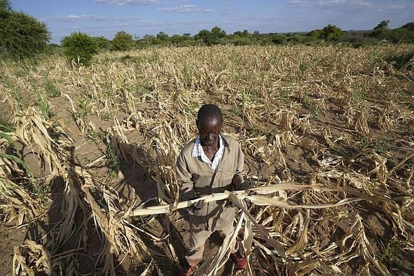 Zimbabwe declares drought disaster