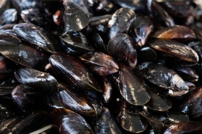 Singapore restricts sale, supply of Port Dickson mussels contaminated with biotoxin