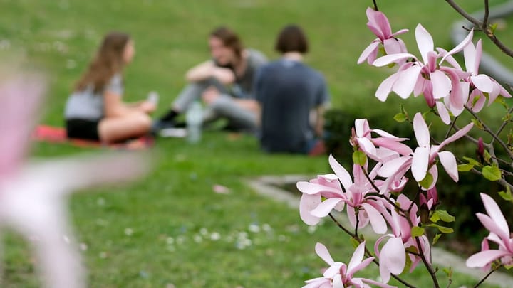 Wetter am Wochenende in Sachsen: Perfektes Grill-Wetter schon Anfang April